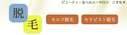 脱毛（セルフ脱毛・セラピスト脱毛）